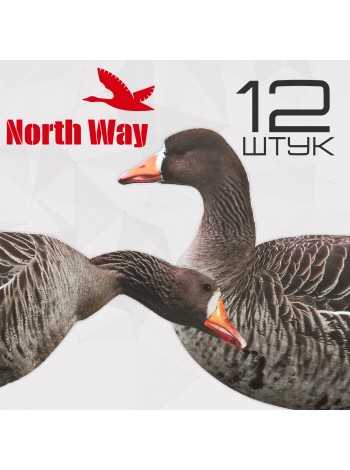 Профиля белолобого гуся North Way, плоские